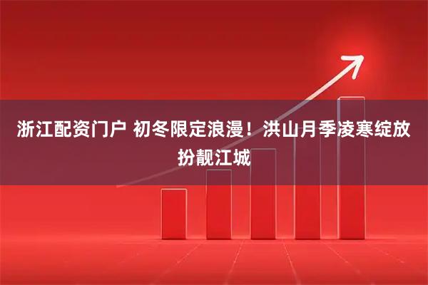 浙江配资门户 初冬限定浪漫！洪山月季凌寒绽放扮靓江城